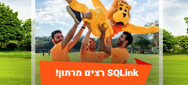 SQLink רצים מרתון!