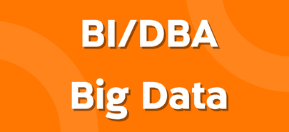 BI/DBA/Big Data